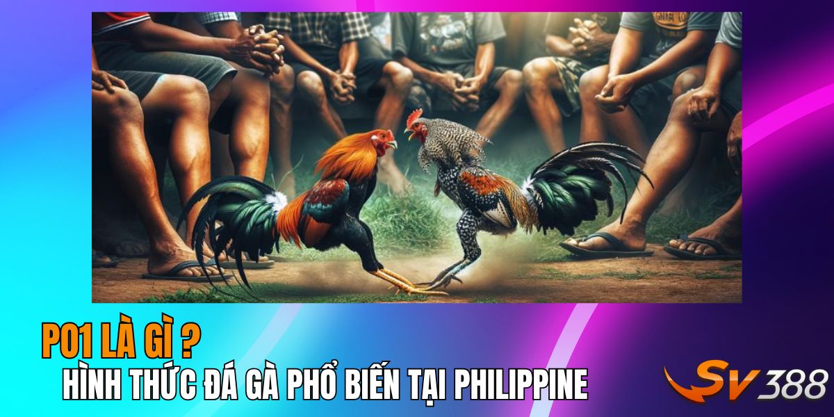 PO1 là gì?